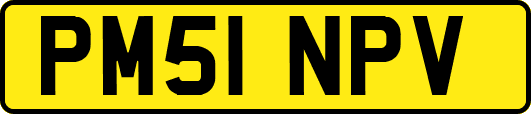 PM51NPV