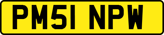 PM51NPW