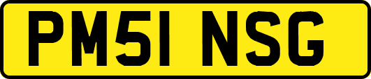 PM51NSG