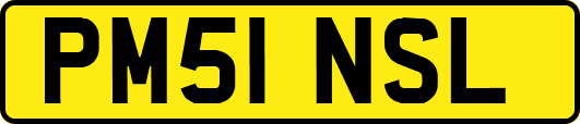 PM51NSL