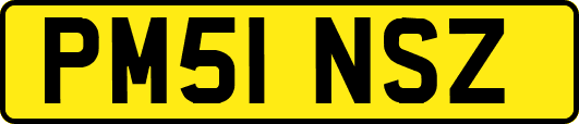 PM51NSZ
