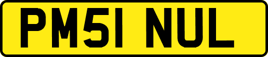 PM51NUL