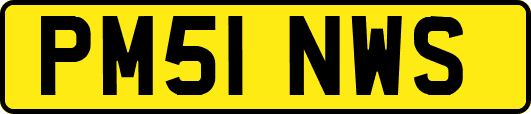 PM51NWS