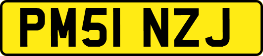 PM51NZJ