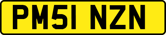 PM51NZN