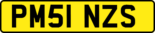 PM51NZS