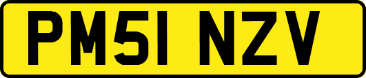 PM51NZV