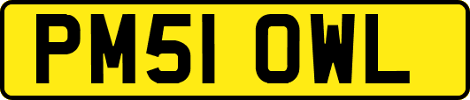 PM51OWL