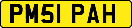 PM51PAH