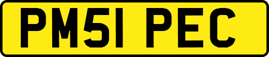 PM51PEC