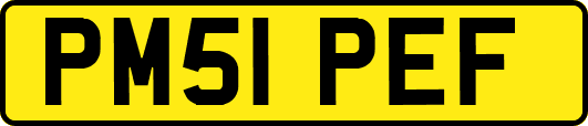 PM51PEF