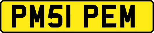 PM51PEM