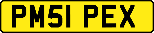 PM51PEX
