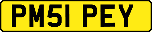 PM51PEY