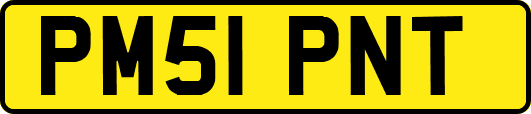 PM51PNT