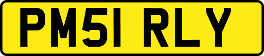 PM51RLY