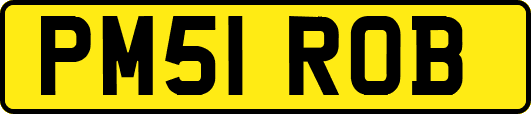 PM51ROB