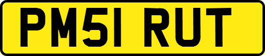 PM51RUT