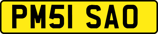 PM51SAO