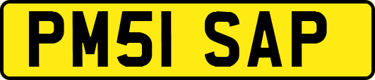 PM51SAP