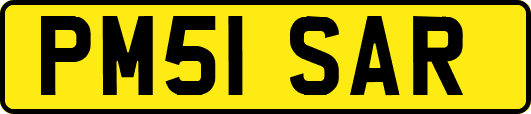 PM51SAR