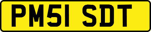 PM51SDT