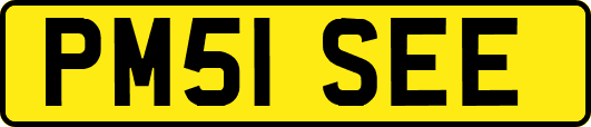 PM51SEE