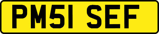 PM51SEF