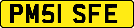 PM51SFE