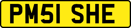 PM51SHE