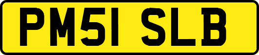 PM51SLB