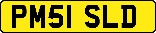 PM51SLD