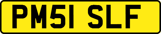 PM51SLF