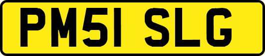 PM51SLG