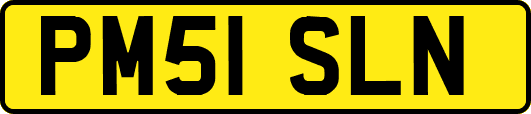 PM51SLN