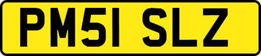 PM51SLZ