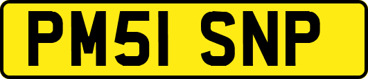 PM51SNP