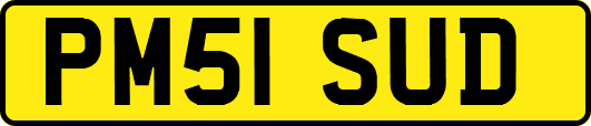 PM51SUD