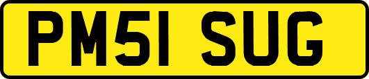 PM51SUG