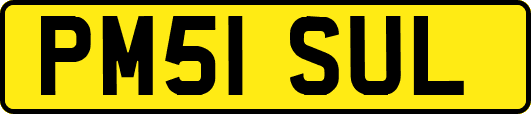 PM51SUL