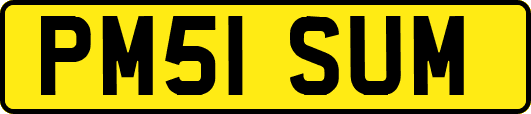 PM51SUM