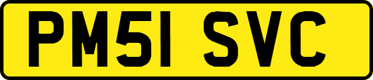 PM51SVC