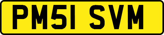 PM51SVM
