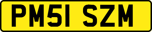 PM51SZM