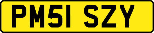 PM51SZY
