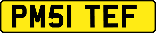 PM51TEF