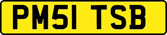 PM51TSB