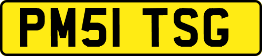 PM51TSG
