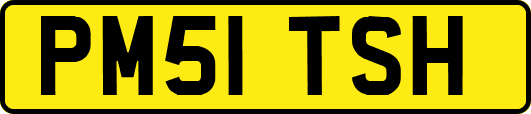 PM51TSH