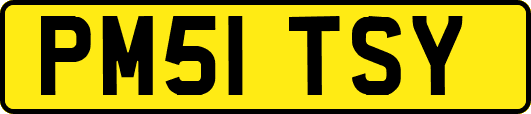 PM51TSY